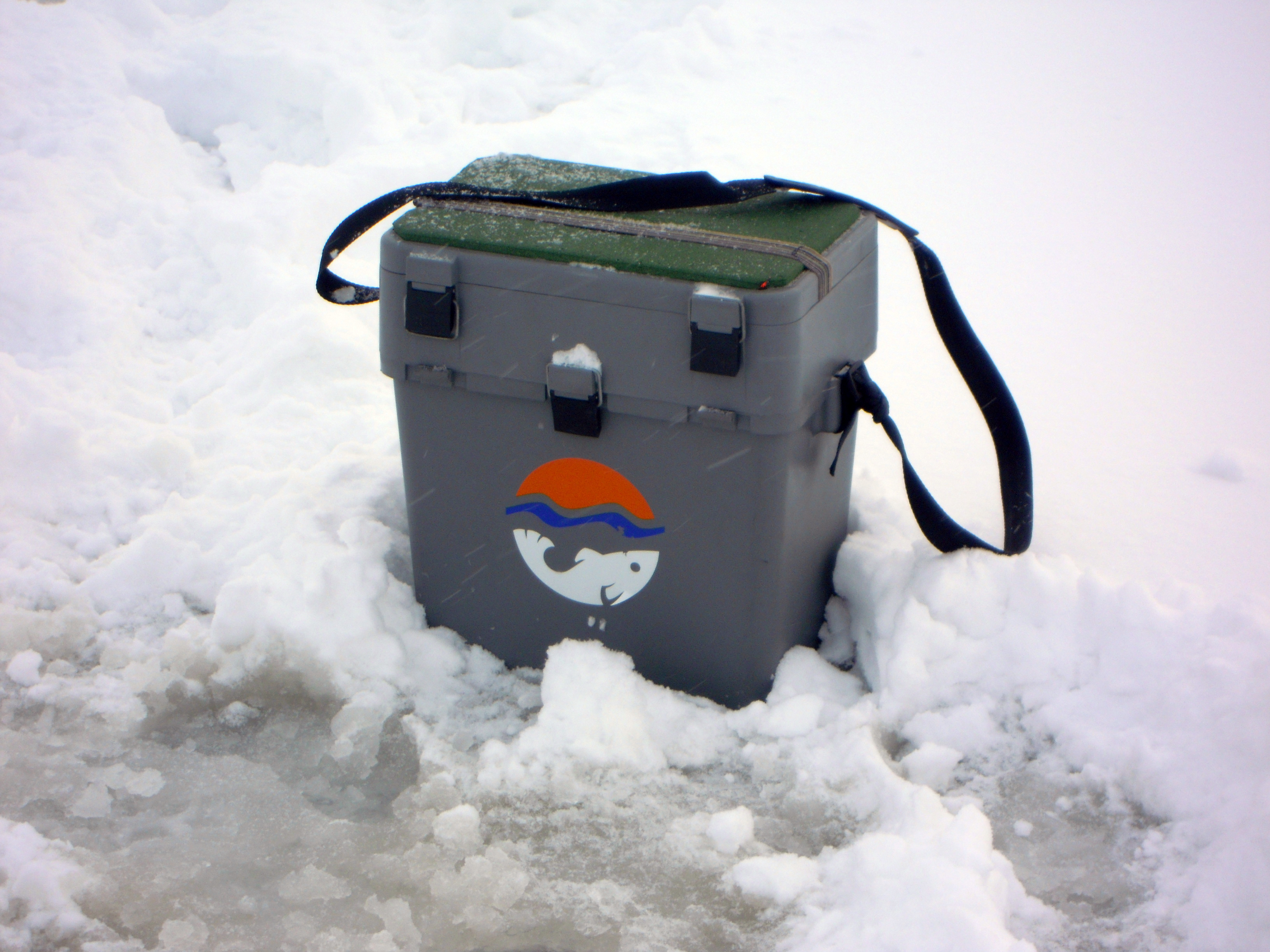 Сорочинские ротаны