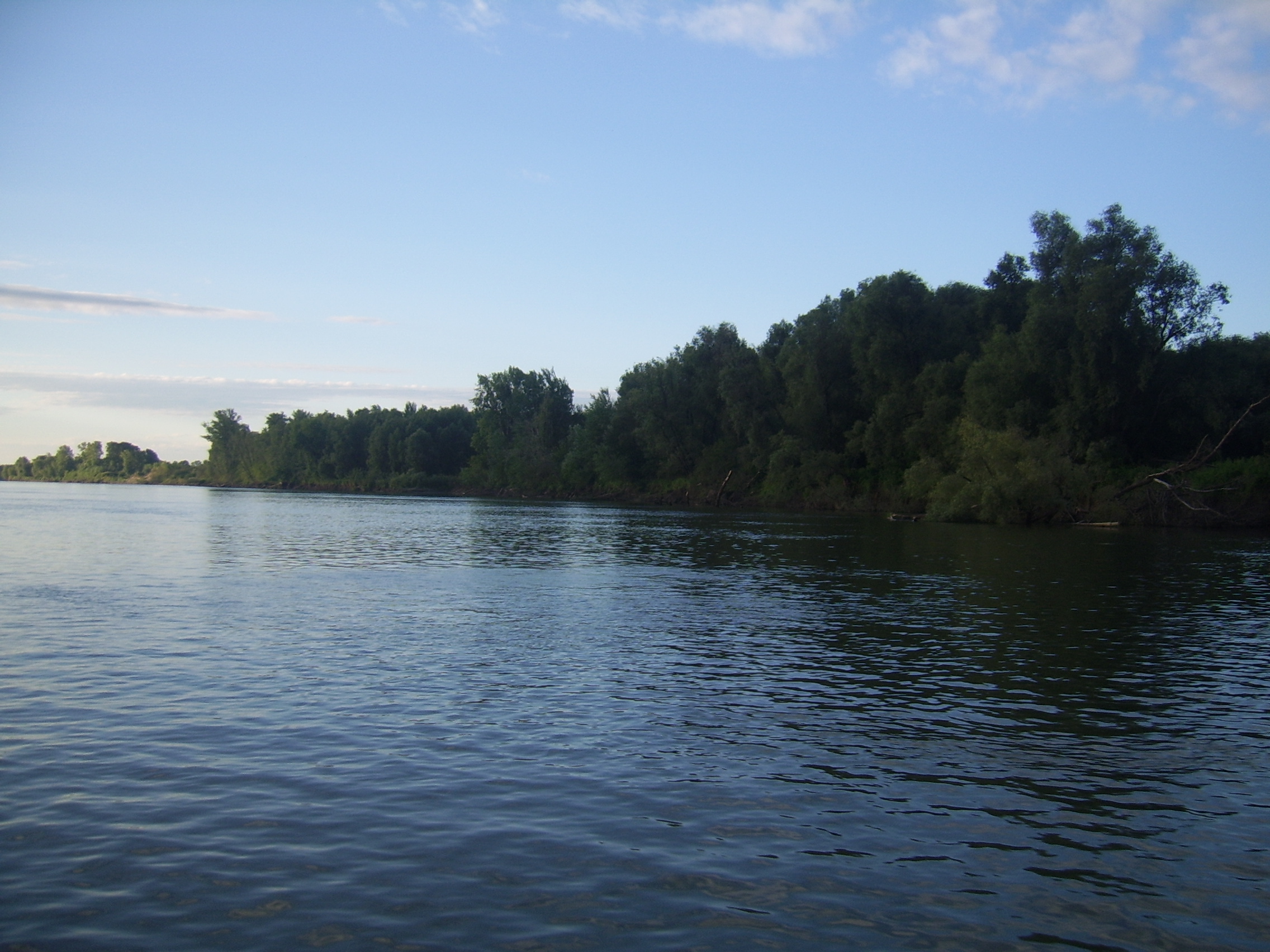 Дельта Чарыша