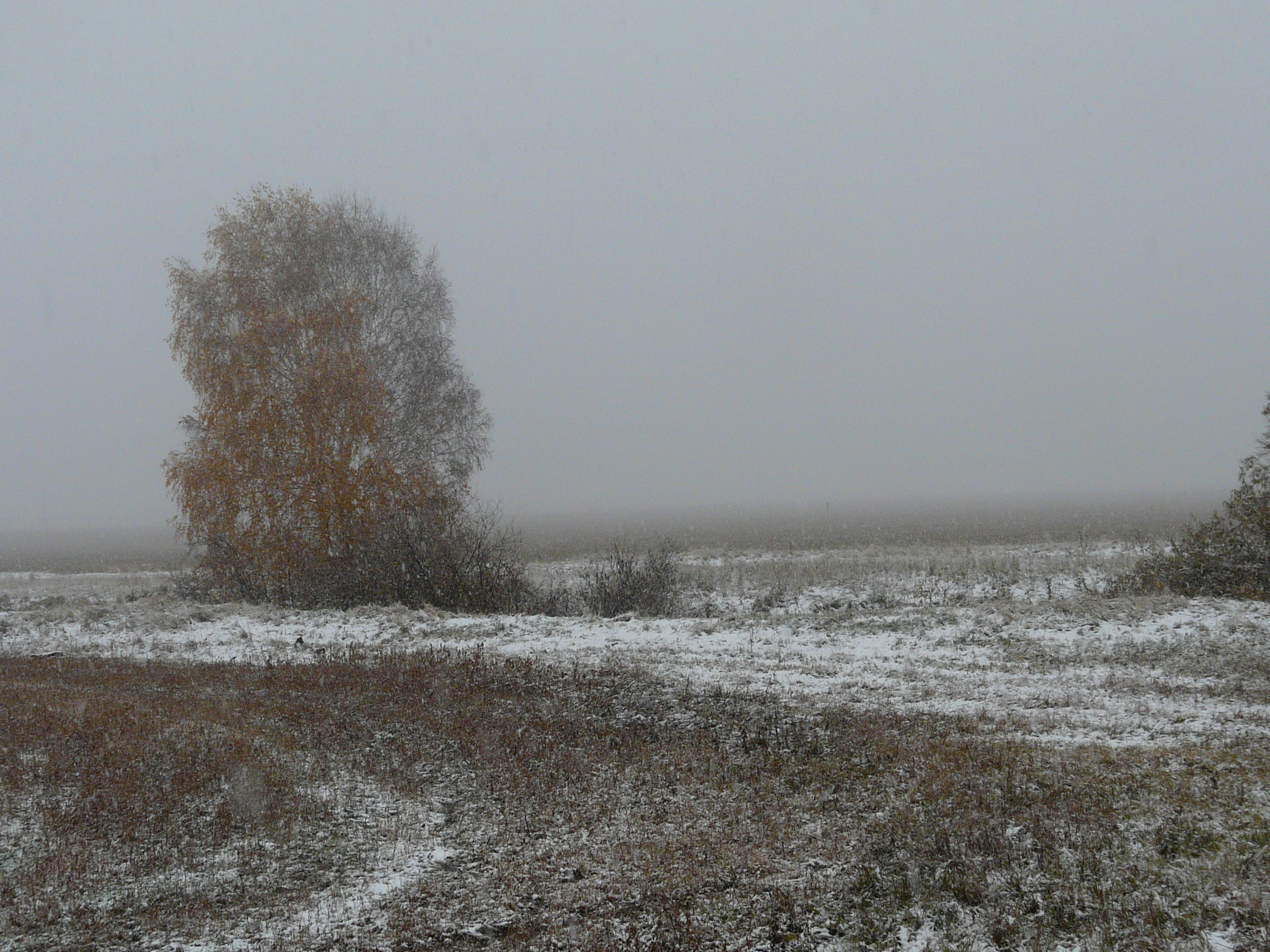 Катаклизма ...