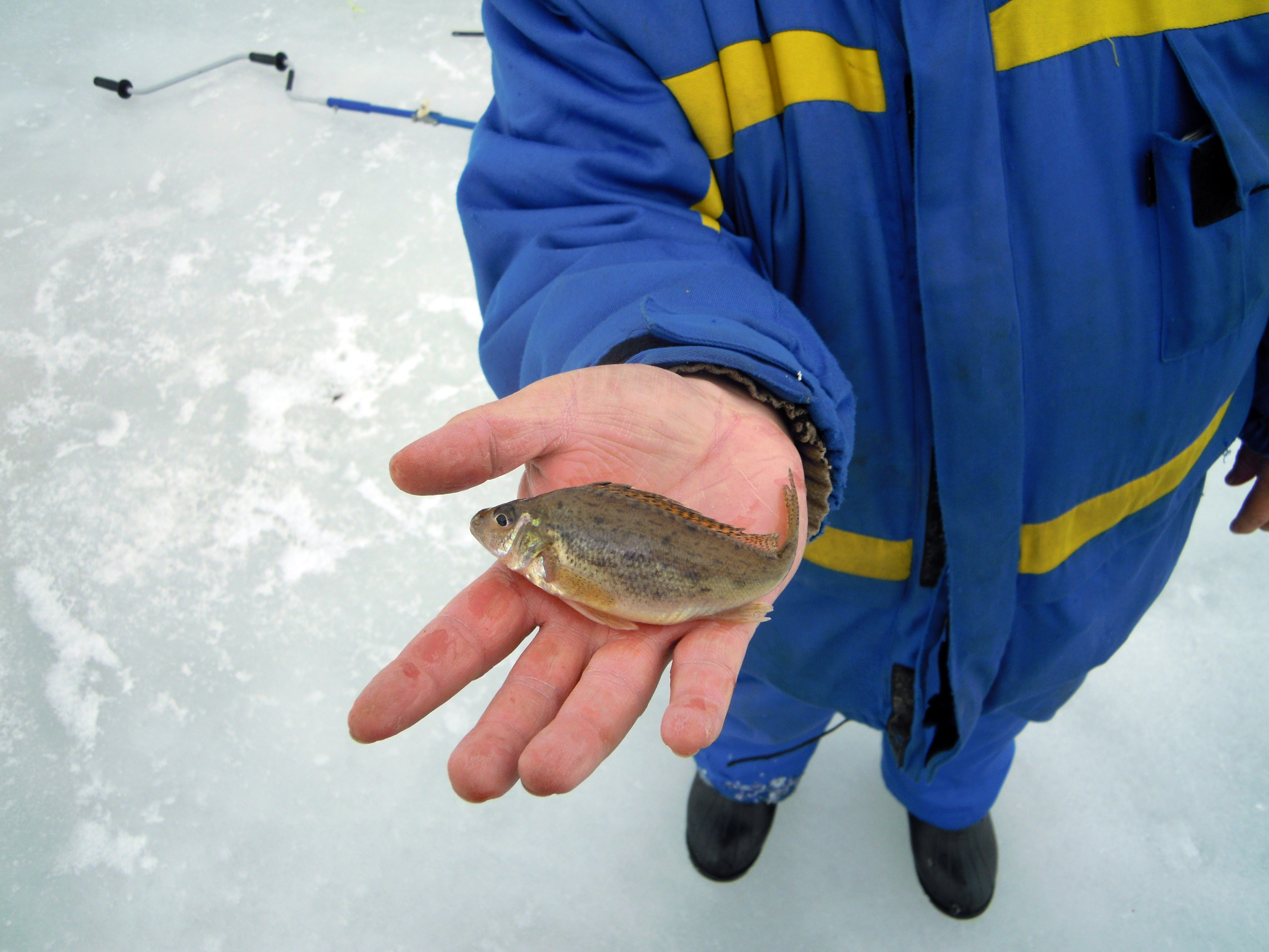 Правда справдилась