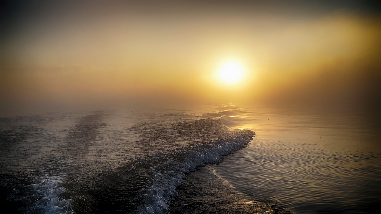 Заколдованая поролонка.