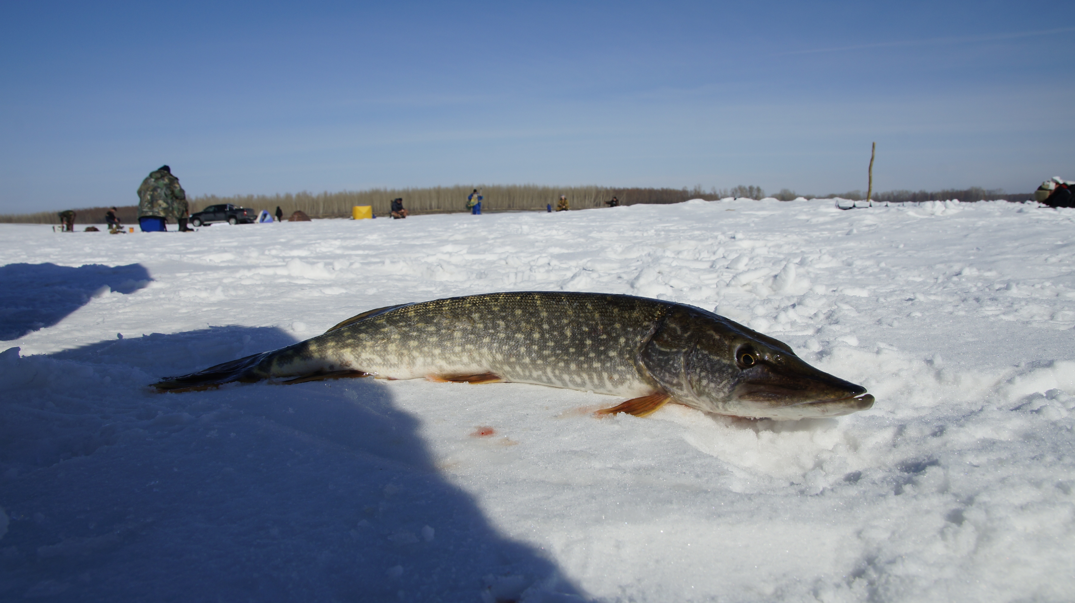 Возил меня Серега...