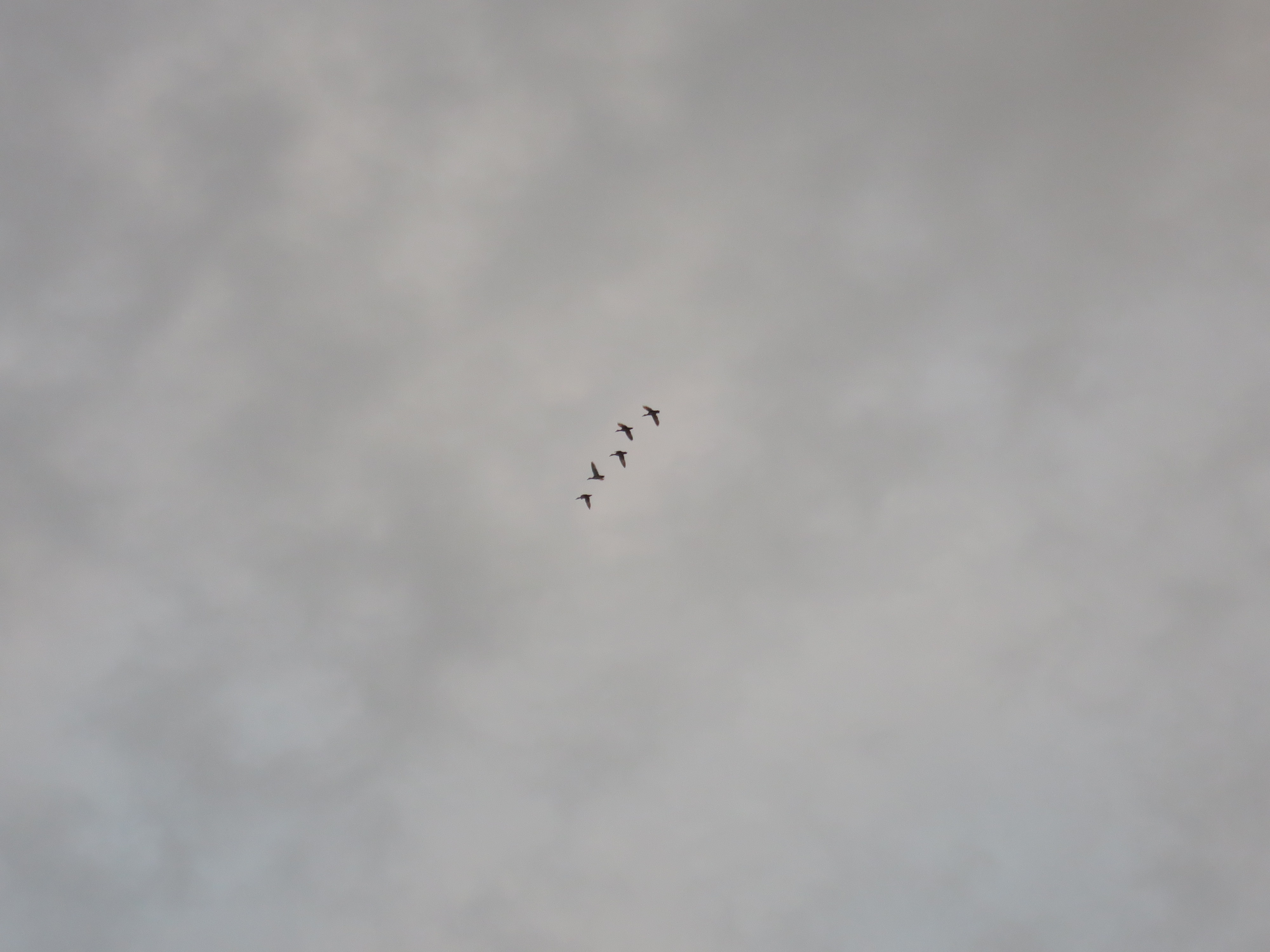 В активном поиске)