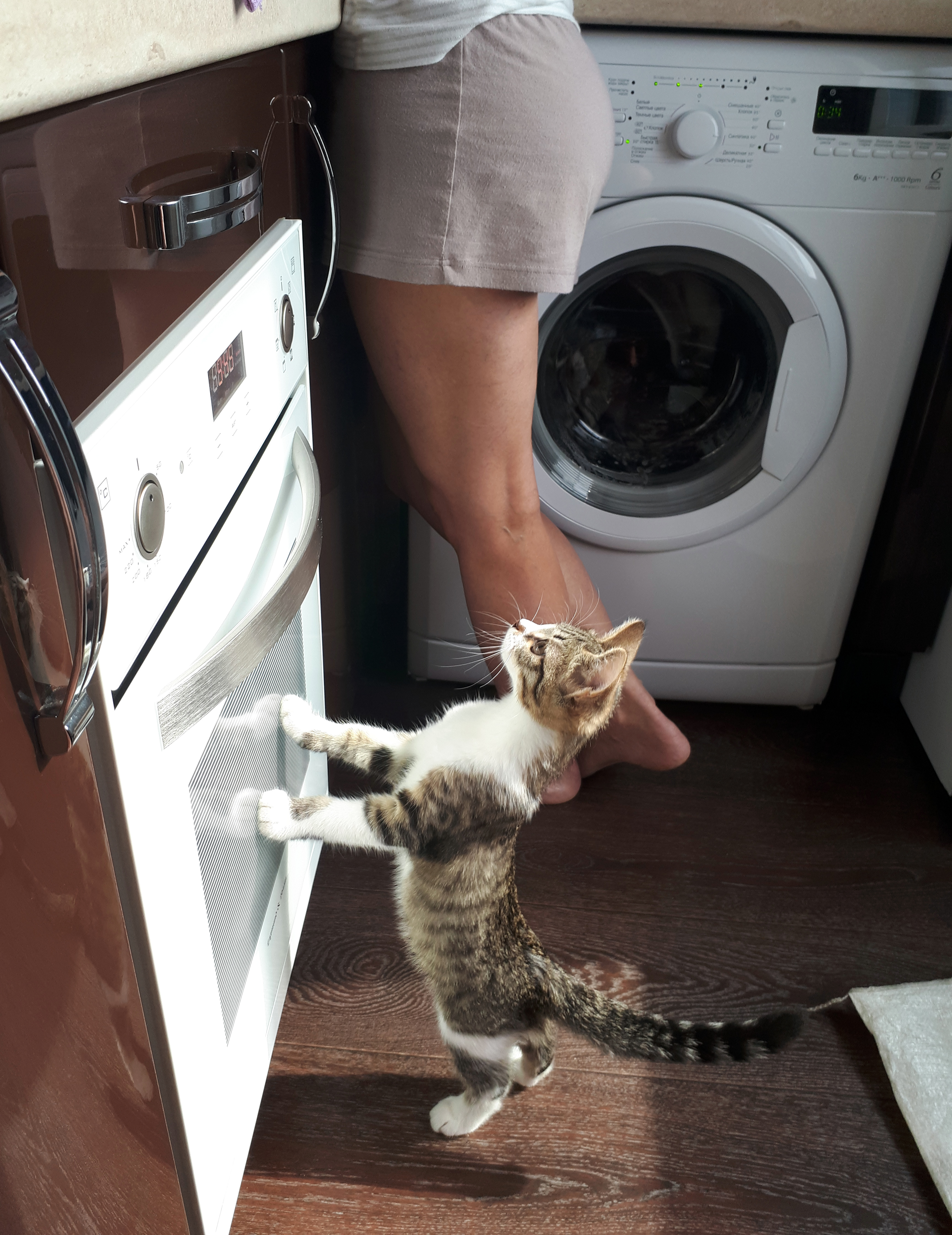 Прекрасная утренняя прогулка