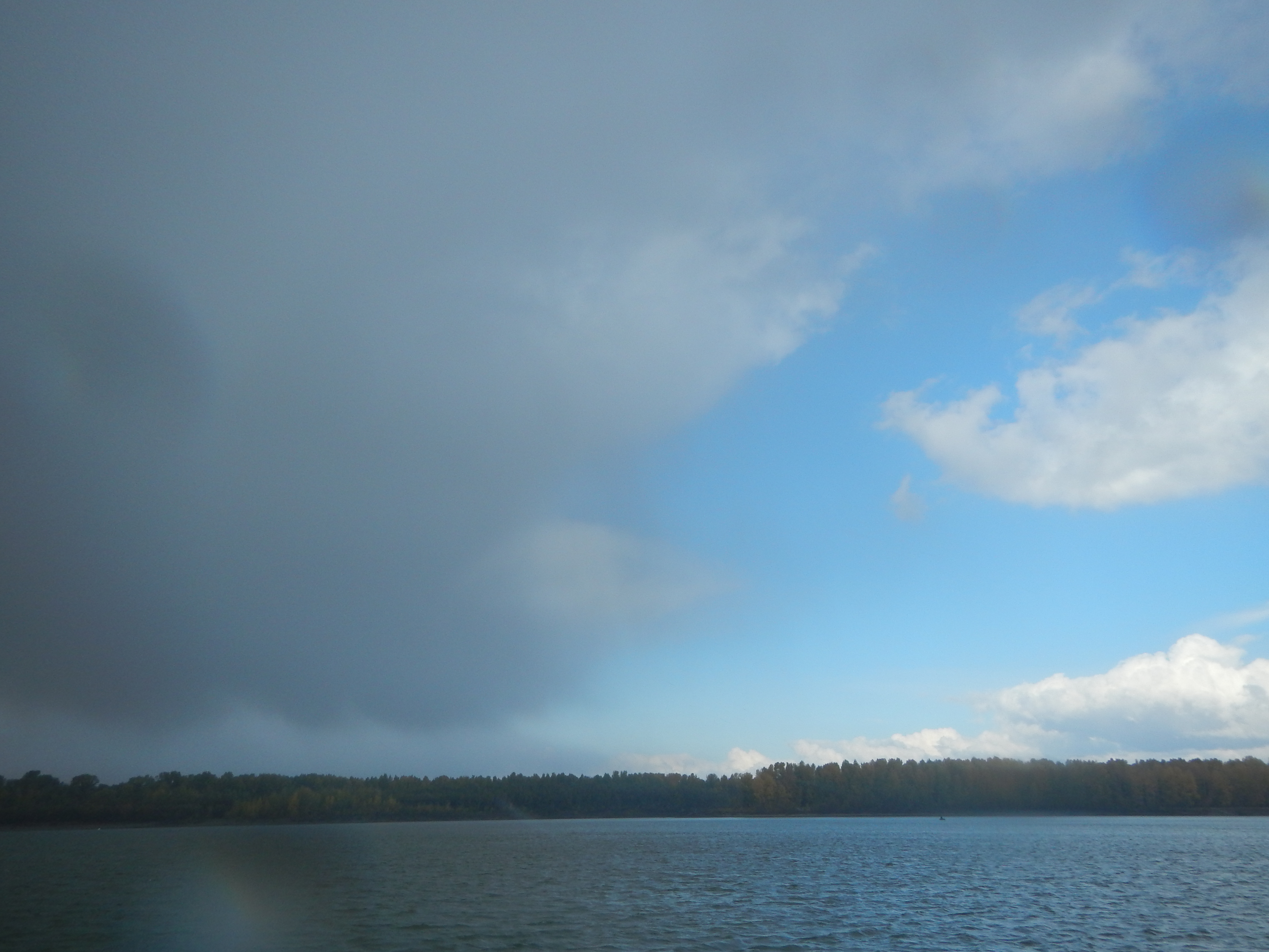 Мон поролон...