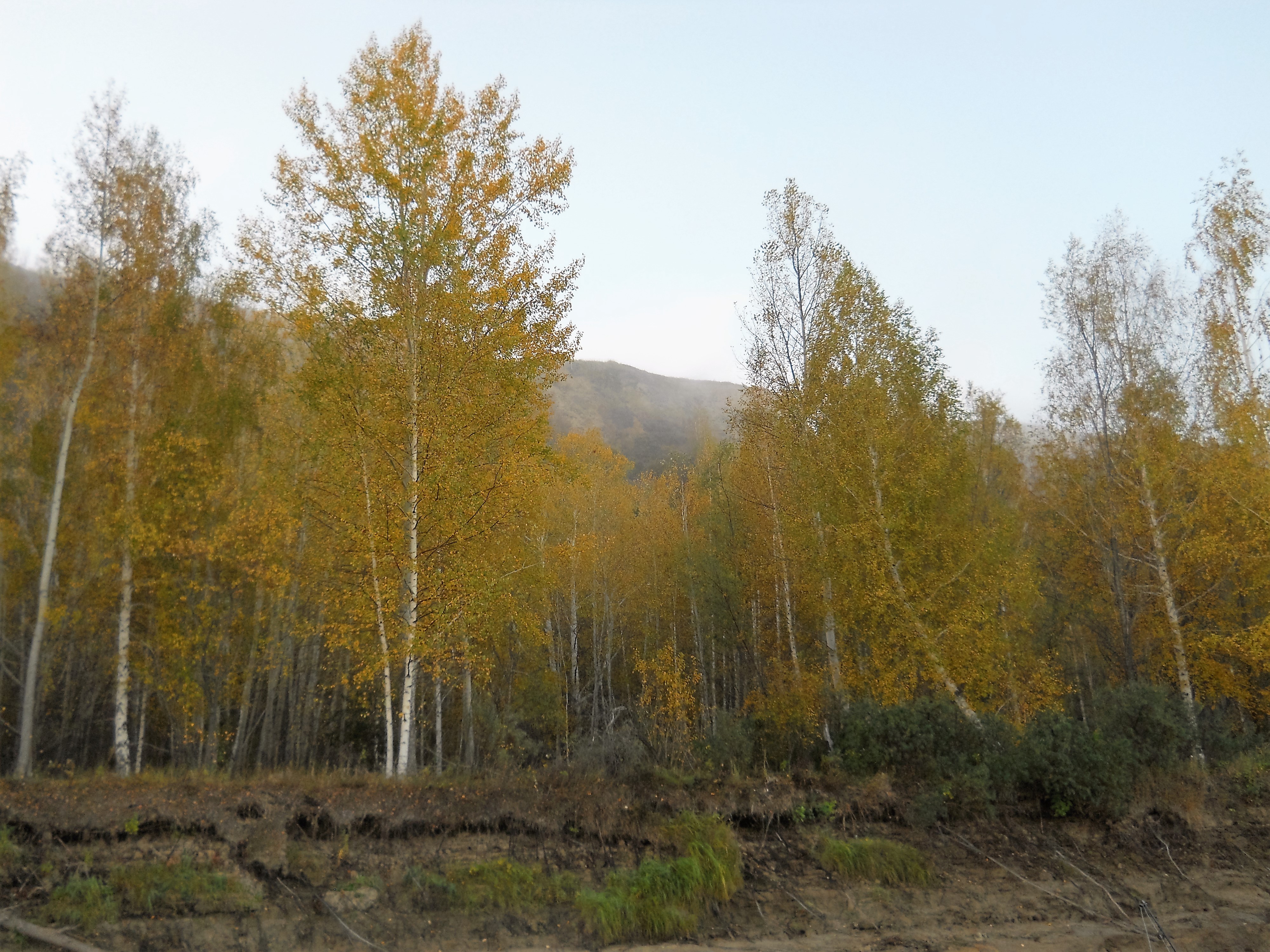 Навстречу осени...