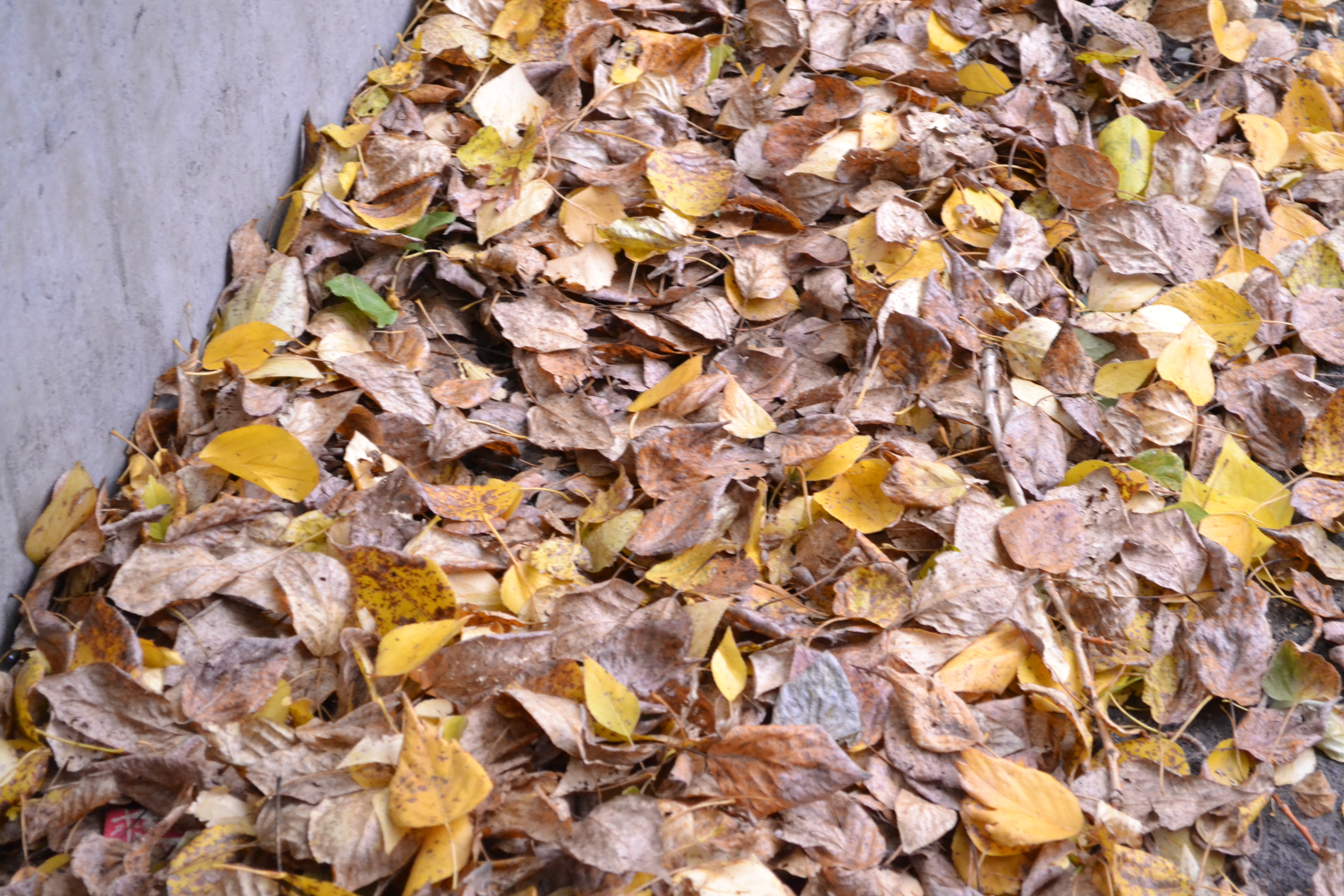 Понимание друг друга