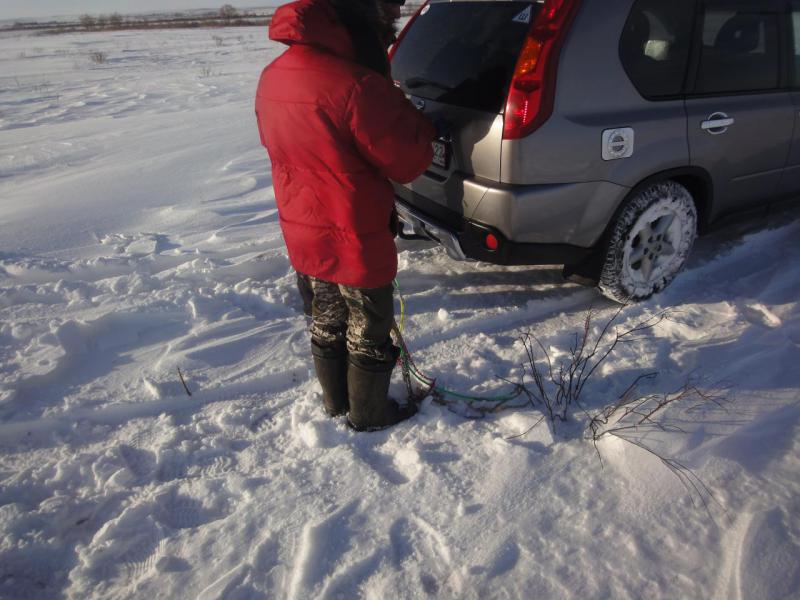 Прикрепленное изображение