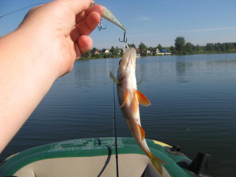 Прикрепленное изображение