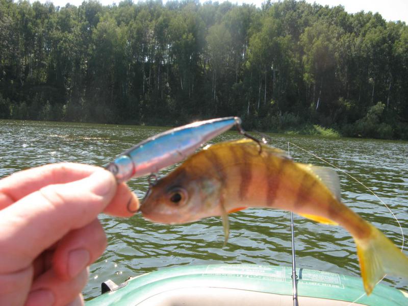 Прикрепленное изображение