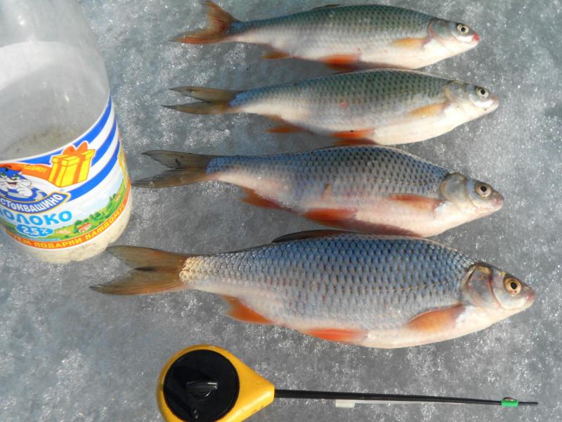 Прикрепленное изображение