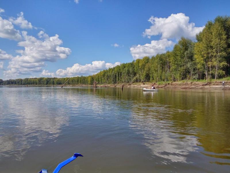 Прикрепленное изображение