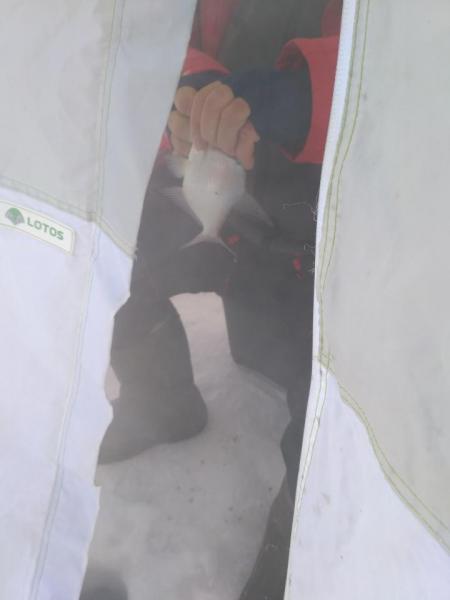 Прикрепленное изображение