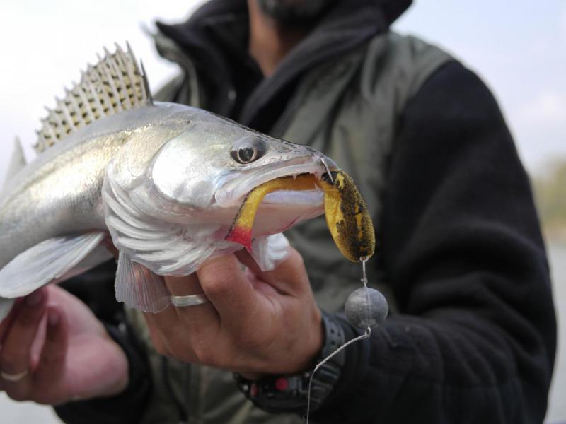 Прикрепленное изображение