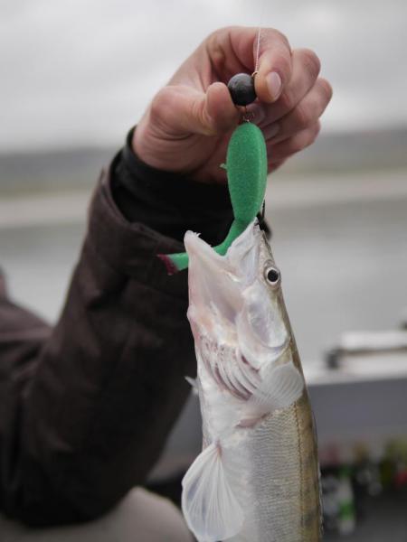 Прикрепленное изображение