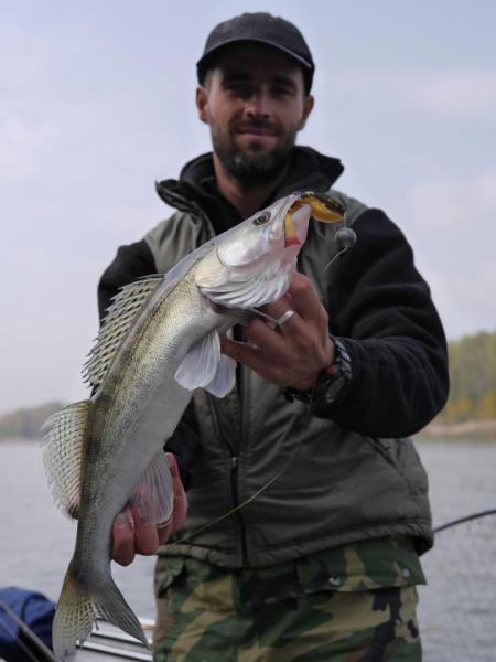 Прикрепленное изображение