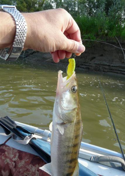 Прикрепленное изображение