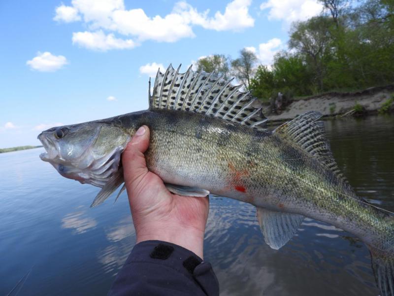 Прикрепленное изображение