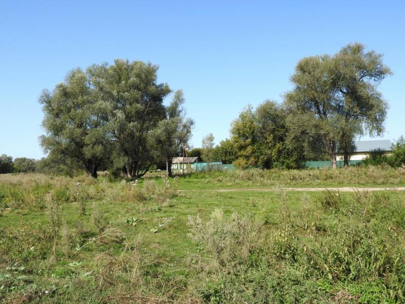 Прикрепленное изображение