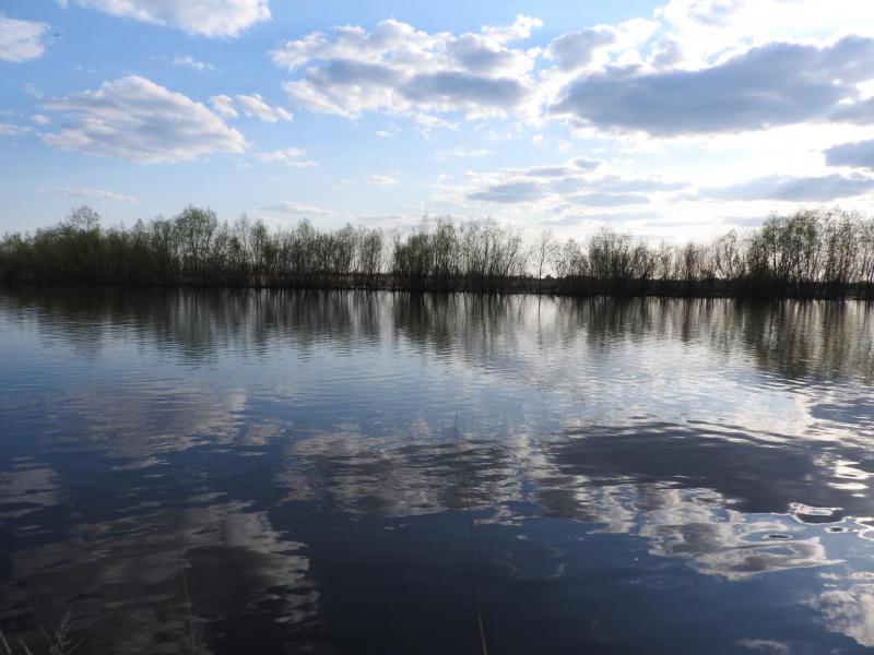 Прикрепленное изображение