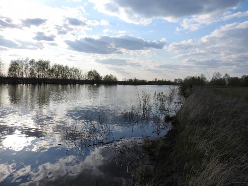 Прикрепленное изображение