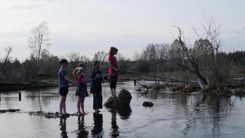 Прикрепленное изображение
