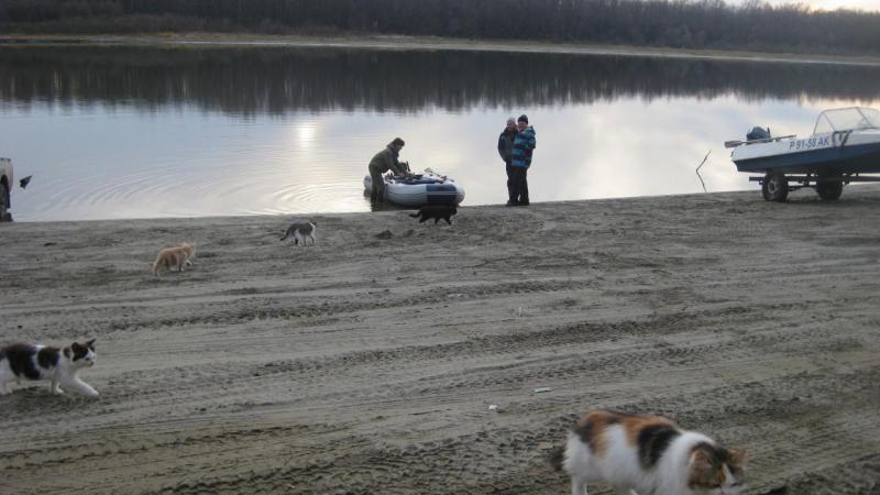 Прикрепленное изображение