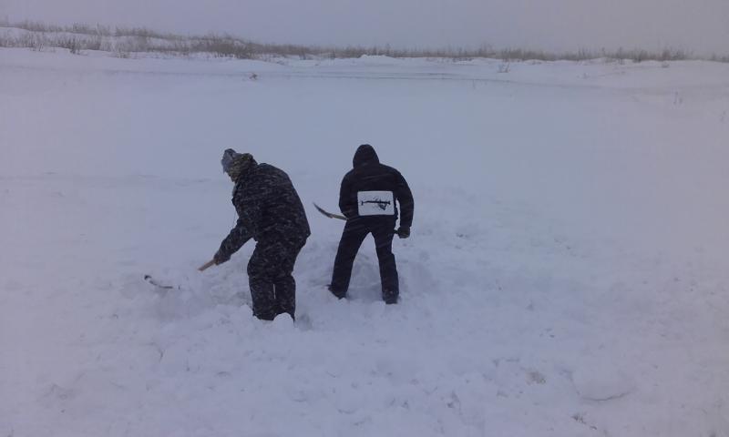 Прикрепленное изображение