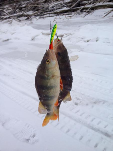 Прикрепленное изображение