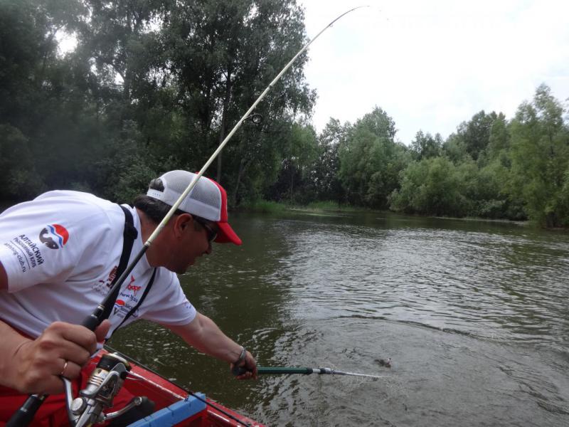 Прикрепленное изображение