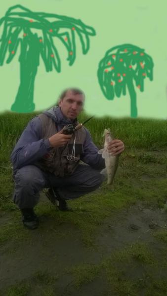 Прикрепленное изображение