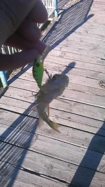 Прикрепленное изображение