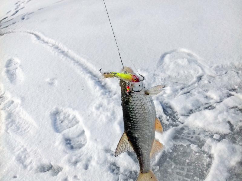 Прикрепленное изображение