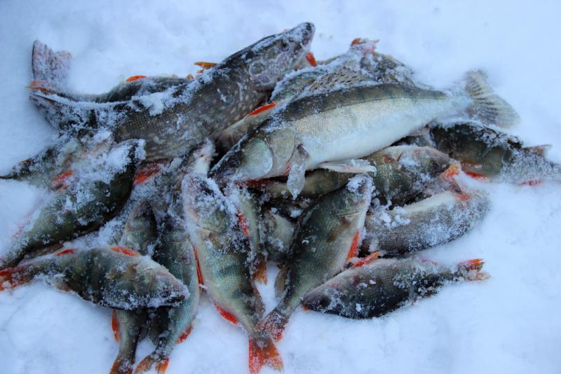 Прикрепленное изображение