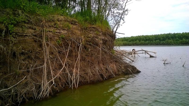 Прикрепленное изображение