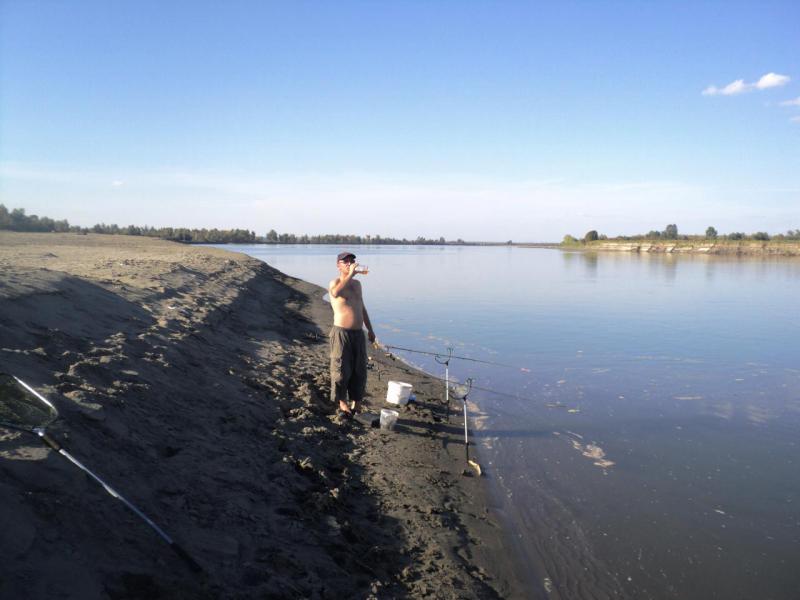 Прикрепленное изображение