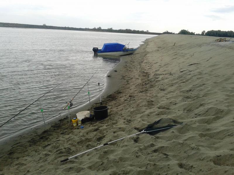 Прикрепленное изображение