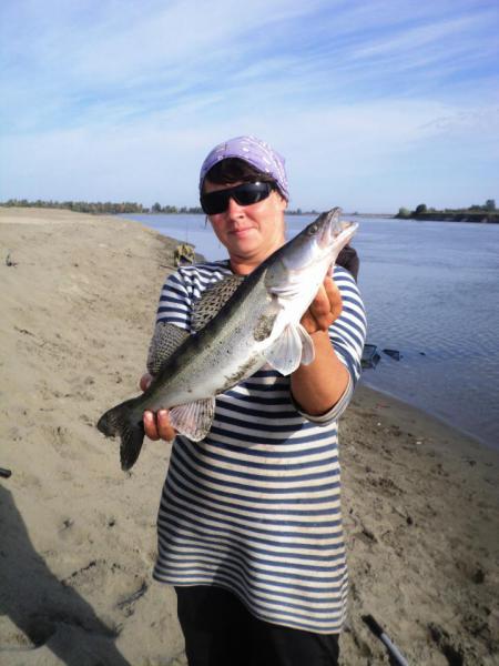 Прикрепленное изображение