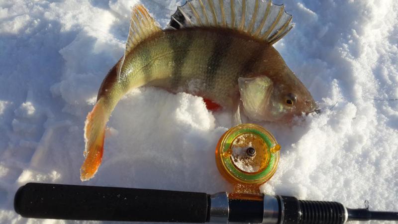 Прикрепленное изображение