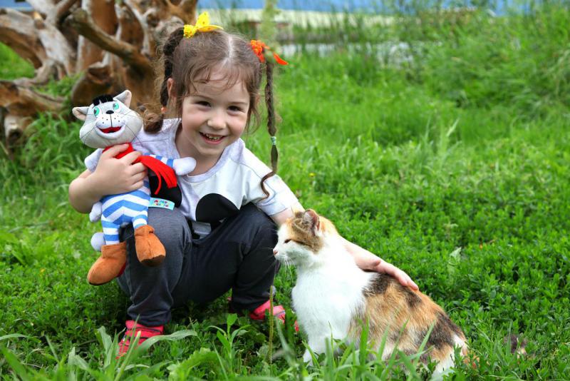 Прикрепленное изображение