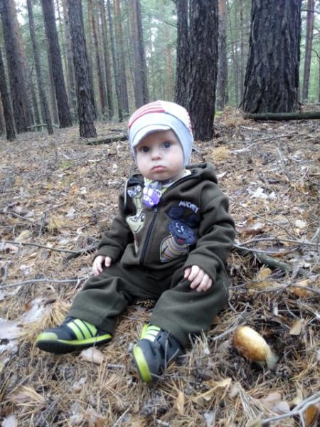 Прикрепленное изображение