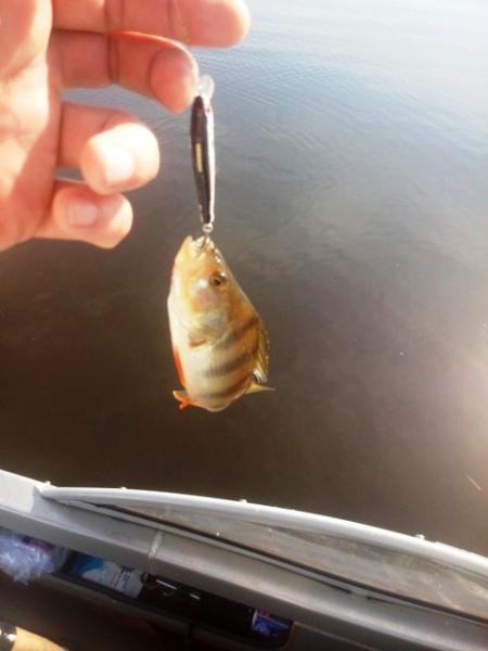 Прикрепленное изображение