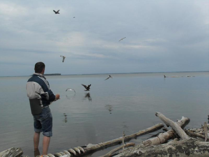 Прикрепленное изображение