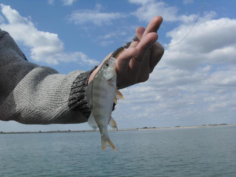 Прикрепленное изображение