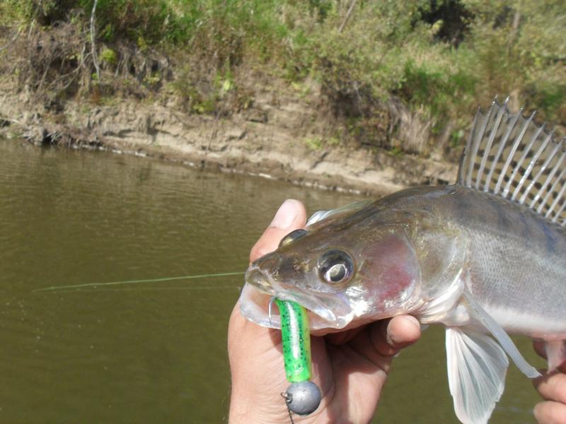 Прикрепленное изображение