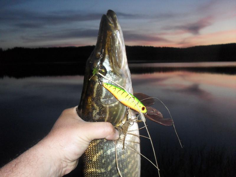 Прикрепленное изображение