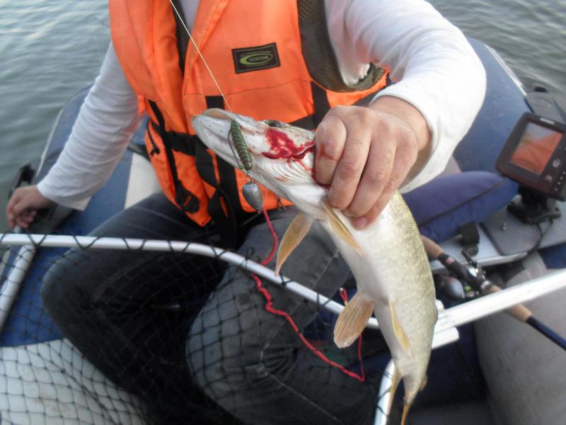 Прикрепленное изображение