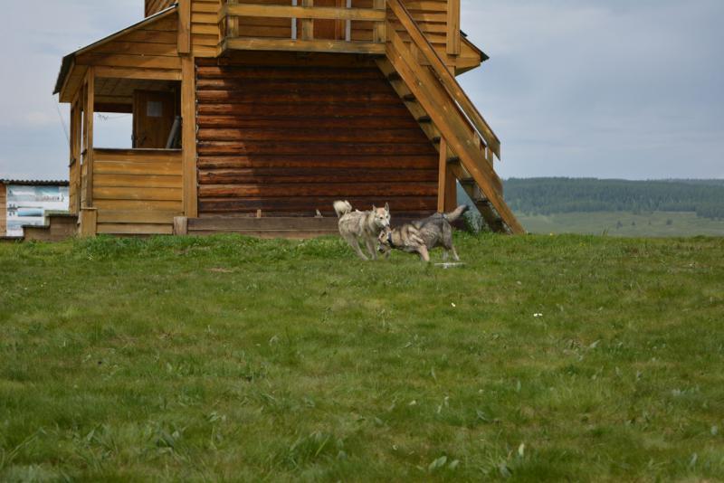 Прикрепленное изображение