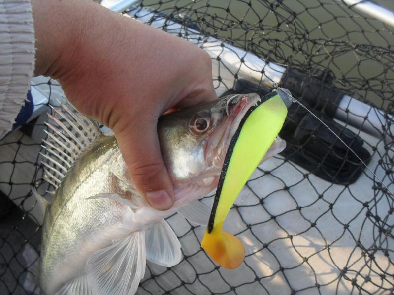 Прикрепленное изображение