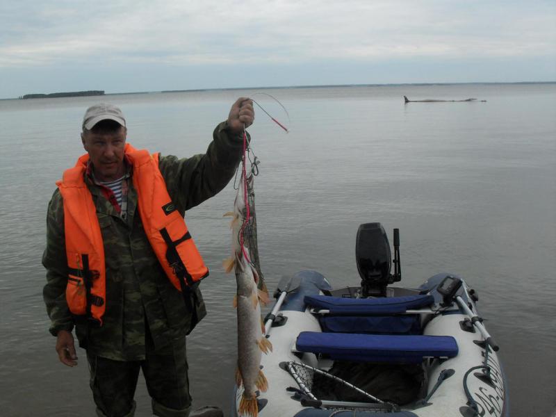 Прикрепленное изображение